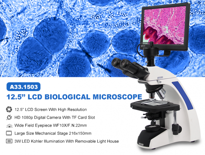 lcd digital mikroskopis