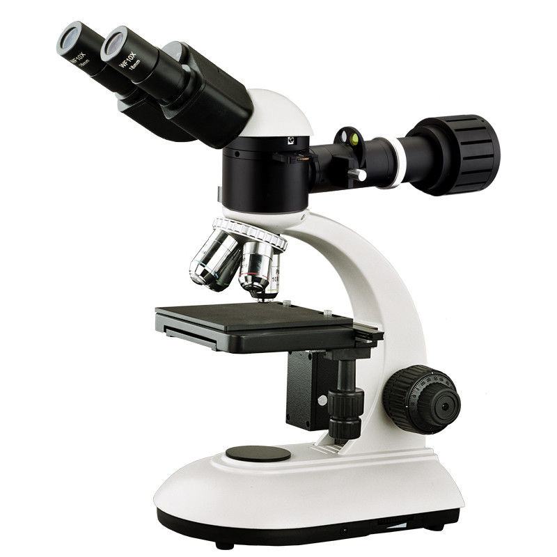 WF10X Eyepiece Binocular Student Optical Microscope ABBE NA1.25 Condenser