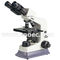 Dark Field Compound Optical Microscope Trinocular With Blue / Green Filter CE A12.1008