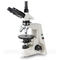 Halogen Lamp Polarized Light Microscope Trinocular A15.1102